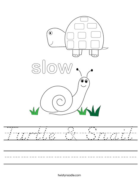 Turtle and Snail Worksheet
