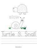 Turtle & Snail Worksheet