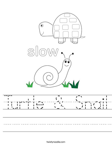Turtle and Snail Worksheet