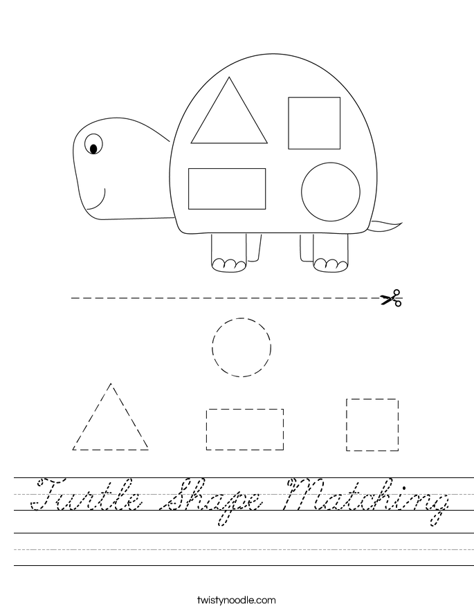 Turtle Shape Matching Worksheet