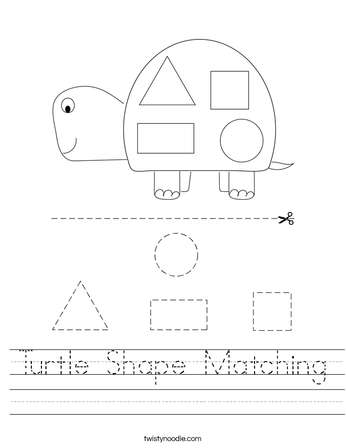 Turtle Shape Matching Worksheet