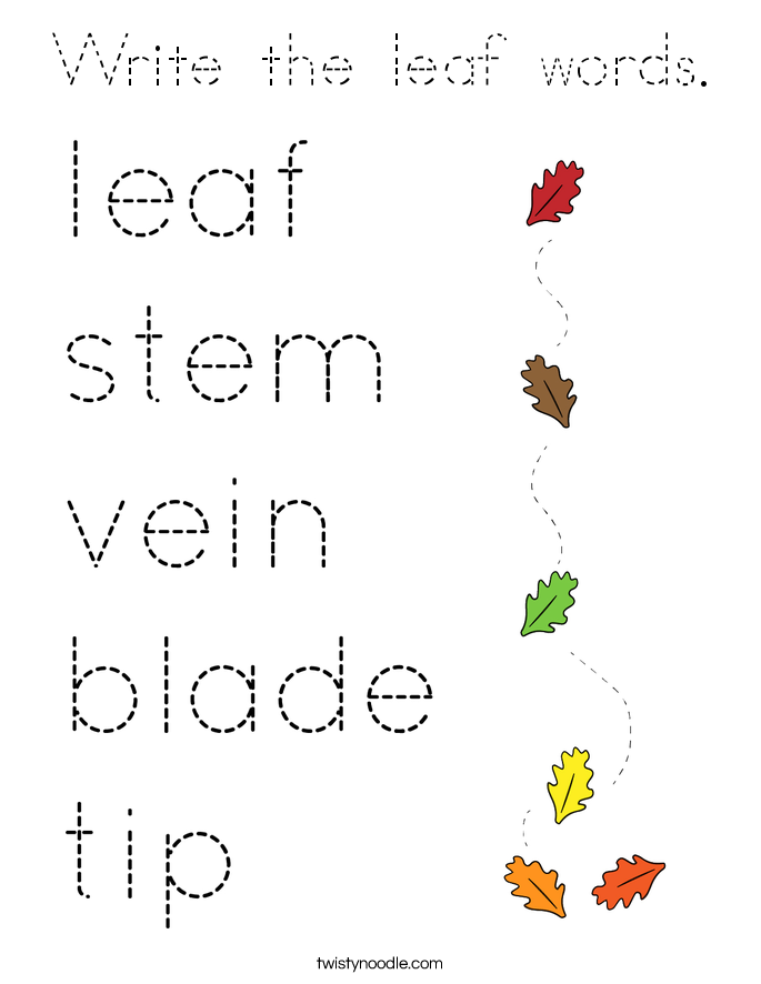 Write the leaf words. Coloring Page