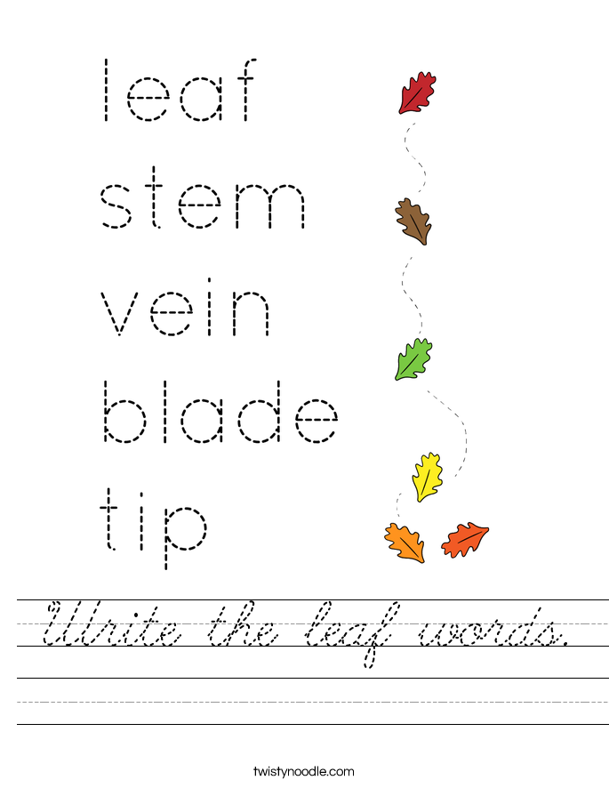 Write the leaf words. Worksheet