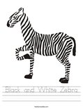 Black and White Zebra Worksheet
